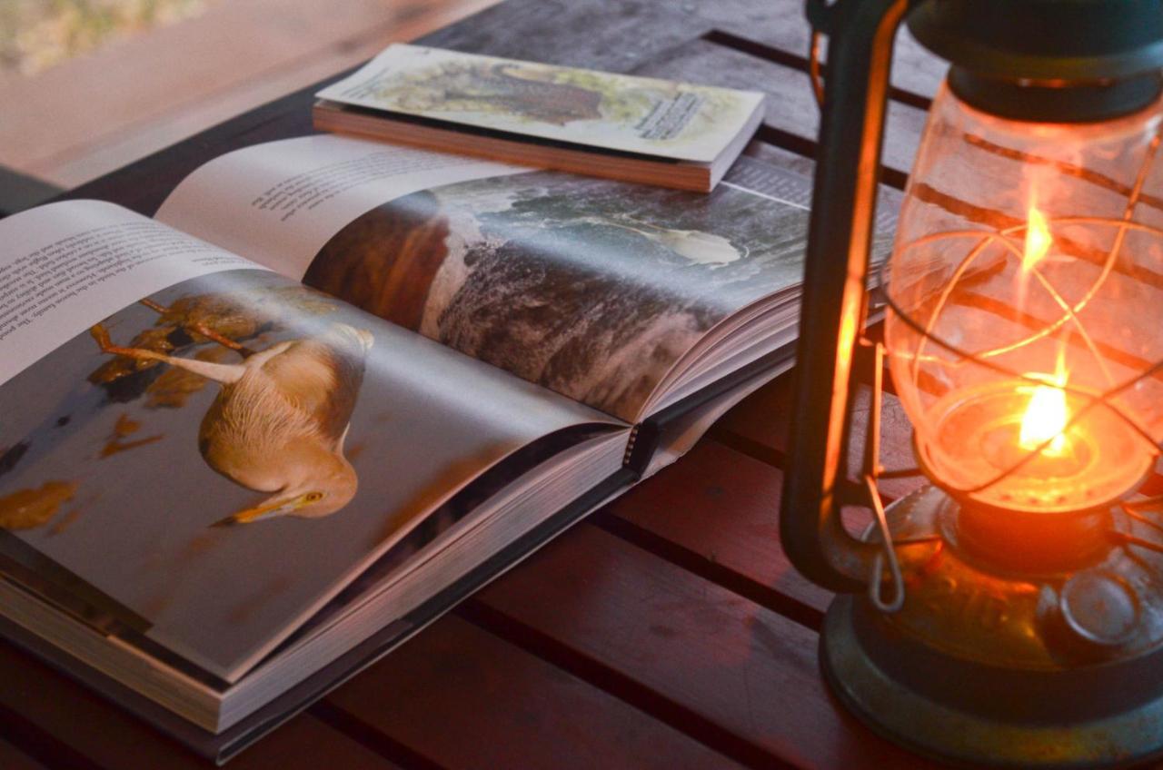 Camp Leopard - Yala Safari Glamping Hotel ภายนอก รูปภาพ