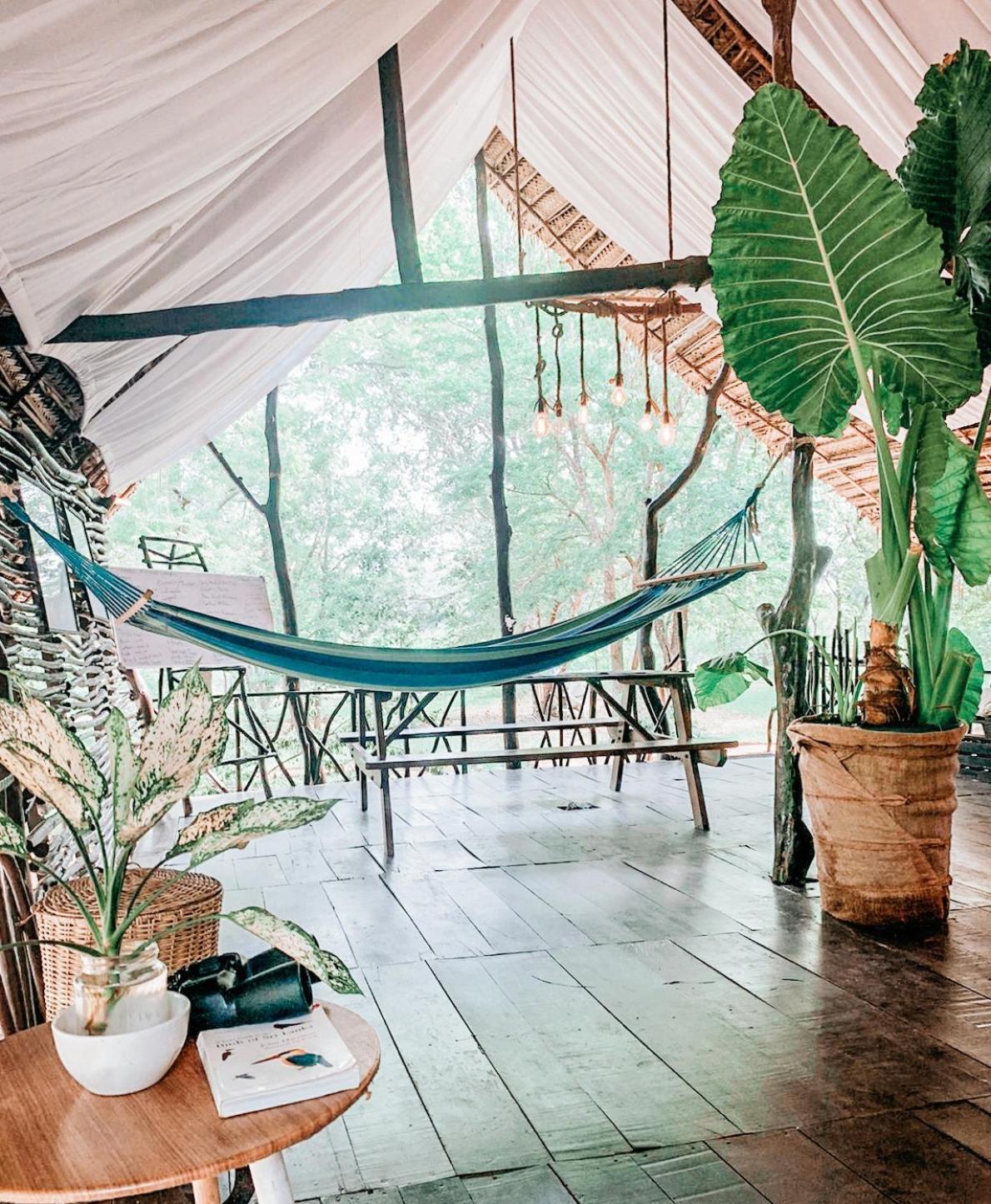 Camp Leopard - Yala Safari Glamping Hotel ภายนอก รูปภาพ