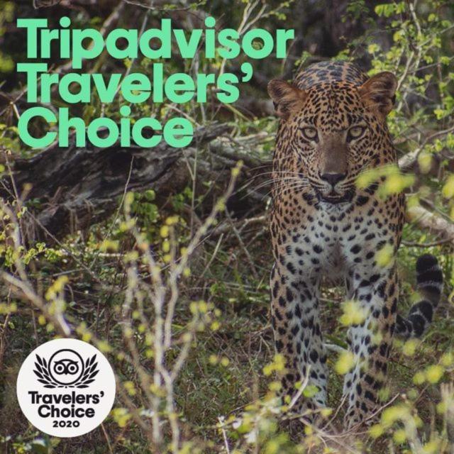 Camp Leopard - Yala Safari Glamping Hotel ภายนอก รูปภาพ