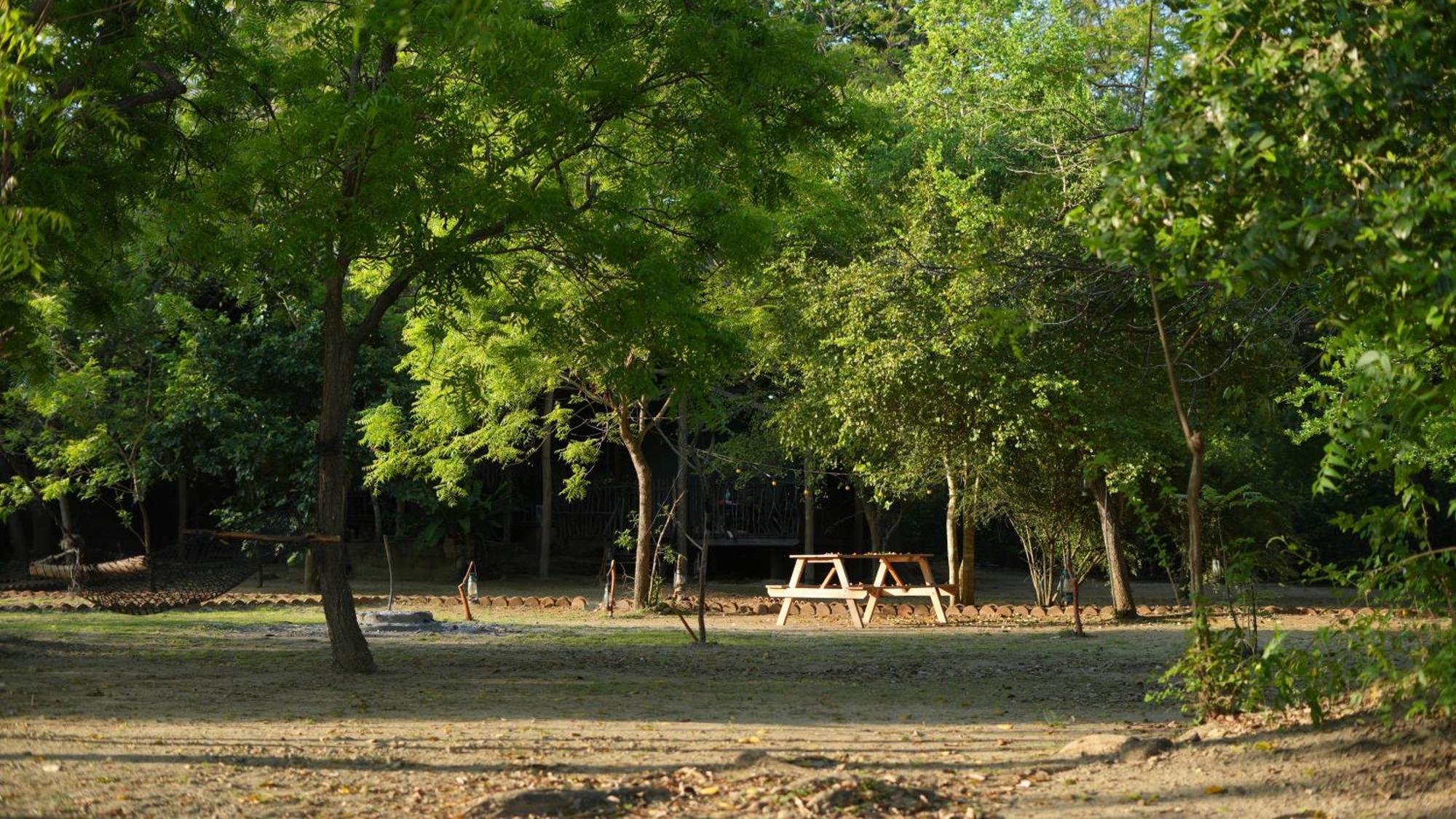 Camp Leopard - Yala Safari Glamping Hotel ภายนอก รูปภาพ