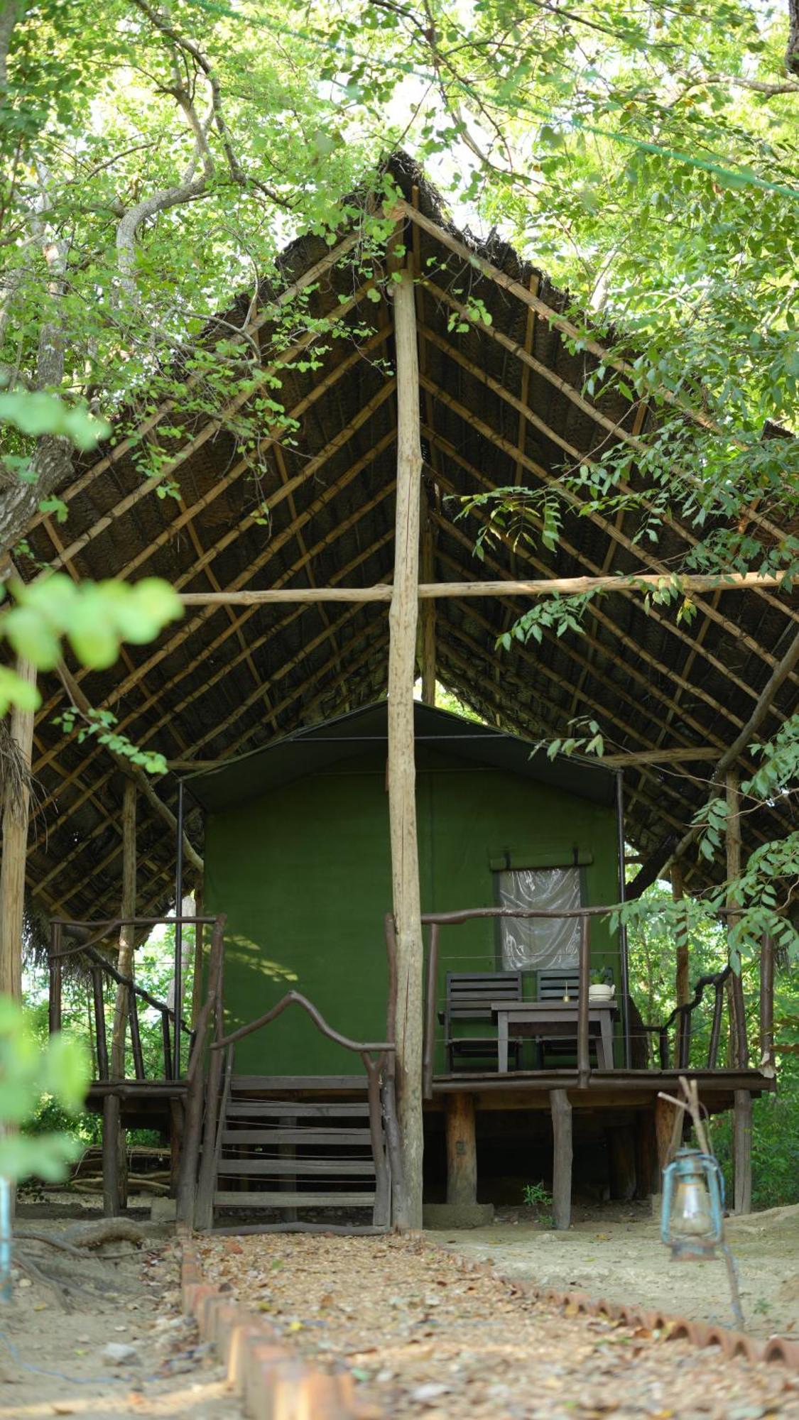 Camp Leopard - Yala Safari Glamping Hotel ภายนอก รูปภาพ