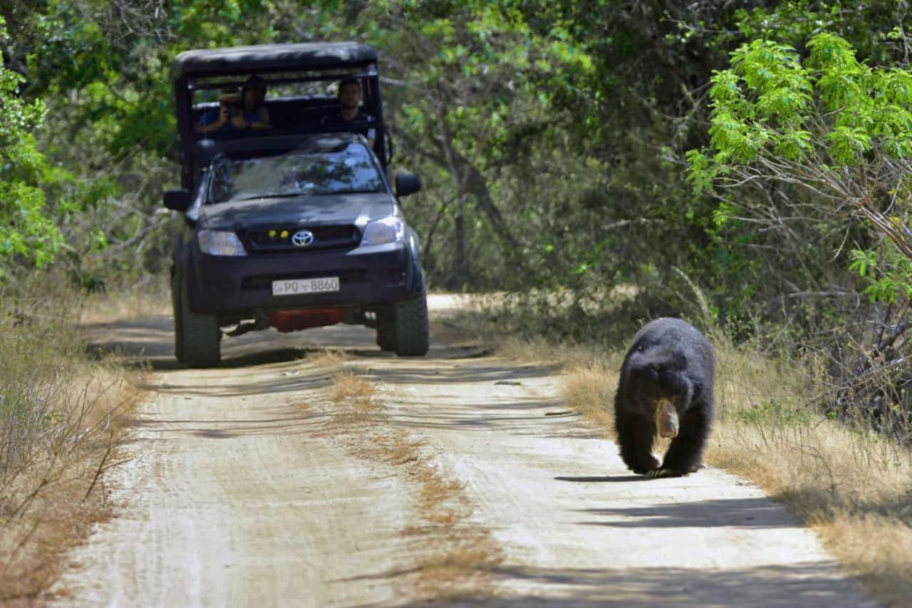 Camp Leopard - Yala Safari Glamping Hotel ภายนอก รูปภาพ